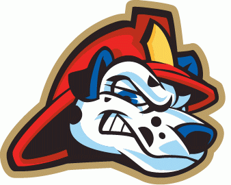 Peoria Chiefs 2005-pres cap logo iron on transfers for T-shirts